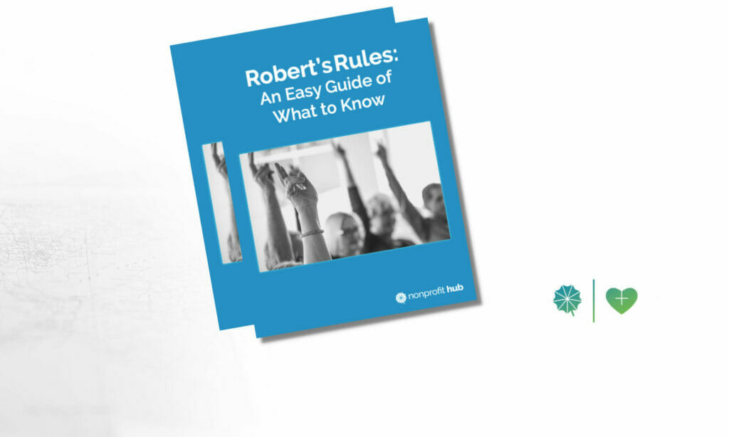 Roberts Rules Guide