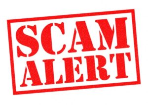 Nonprofit Feasibility Study Scam - Don't Be Fooled