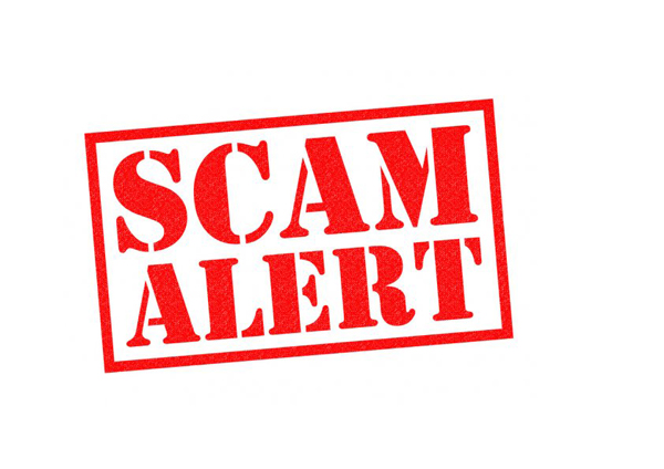 Nonprofit Feasibility Study Scam - Don't Be Fooled Jimmy LaRose Inside Charity