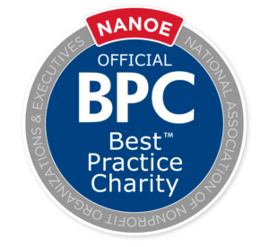 NANOE Best Practice Charity Medallion