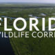 Florida Wildlife Corridor Foundation Inside Charity