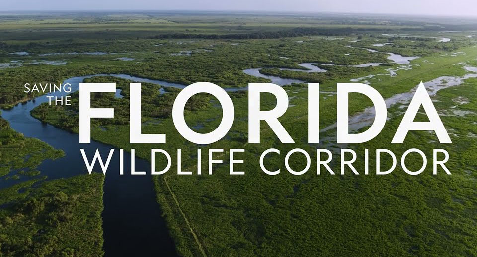 Florida Wildlife Corridor Foundation Inside Charity